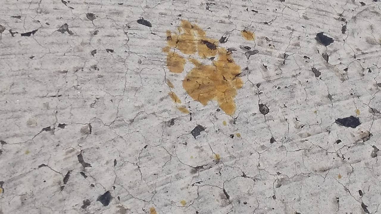 Pegadas do gato que caiu em um tanque contendo cromo hexavalente, substância tóxica, na fábrica Nomura Plating, em Fukuyama, no Japão. 11/03/2024