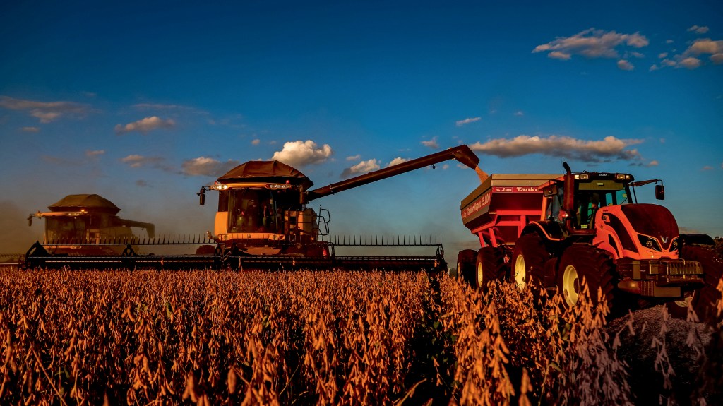 DE GRÃO EM GRÃO - Produção agrícola: a situação é pior para os pequenos agricultores