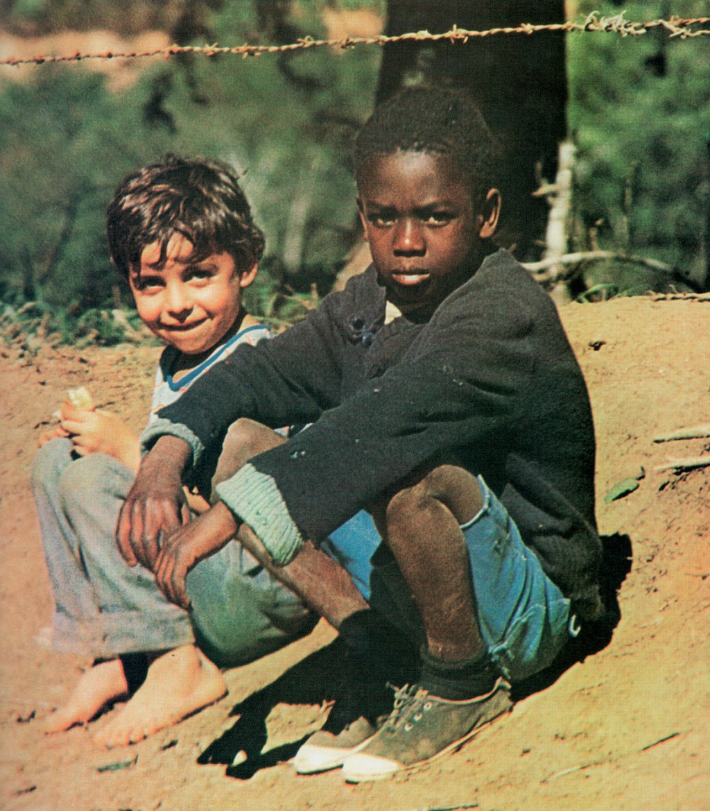PÉROLA - A capa do álbum cultuado de 1972: mistura criativa de bossa nova, Beatles, jazz e ritmos africanos