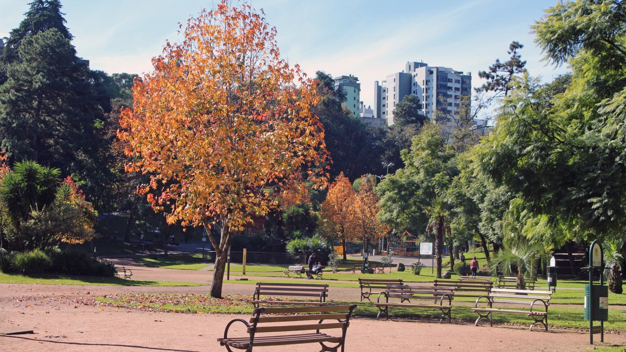 A beautiful afternoon in the park of the city of Caxias do Sul, state of Rio Grande do Sul, in southern Brazil. Plane trees with autumn colors, benches to rest and tranquility. A blue sky and a sun to warm the cold afternoon.