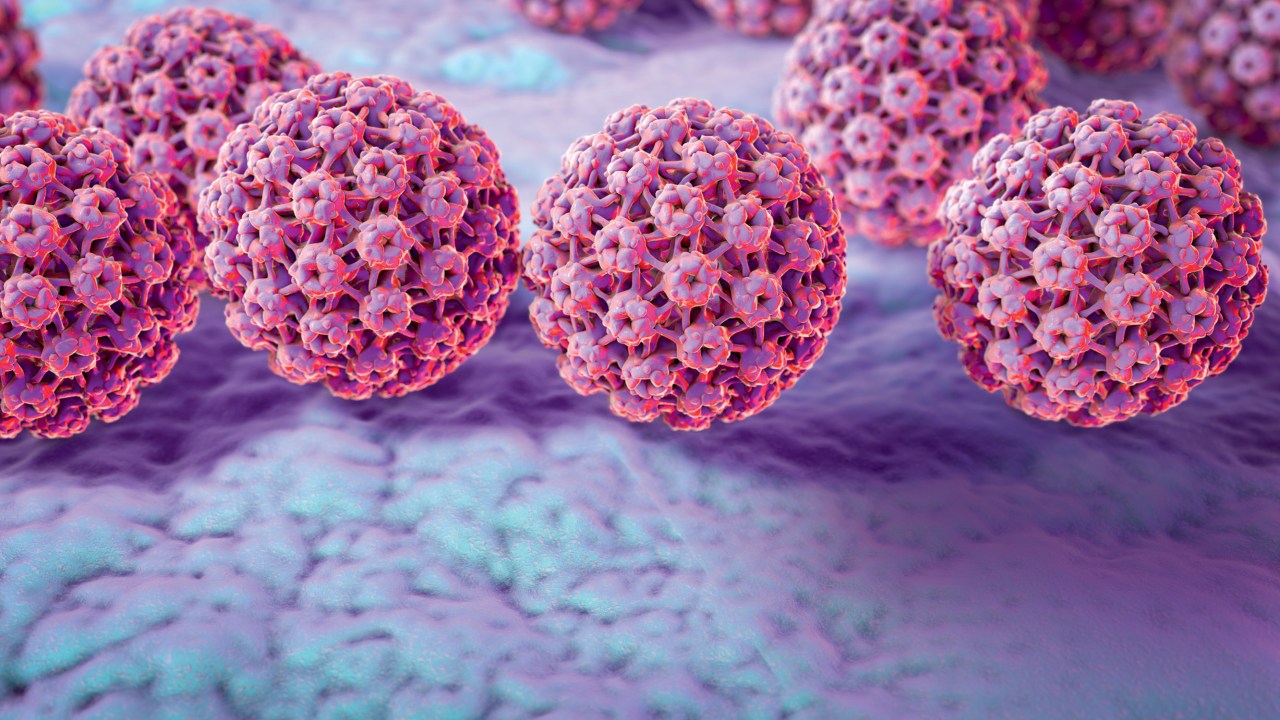 DISSEMINADO - HPV: vírus presente em uma de cada três pessoas