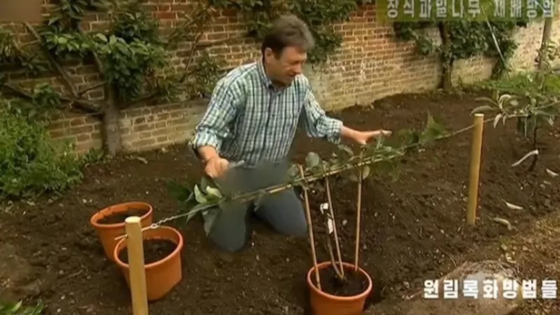 Imagens do apresentador de programa de jardinagem da BBC, Alan Titchmarsh, foram alteradas para esconder os jeans em transmissão da TV estatal norte-coreana. -