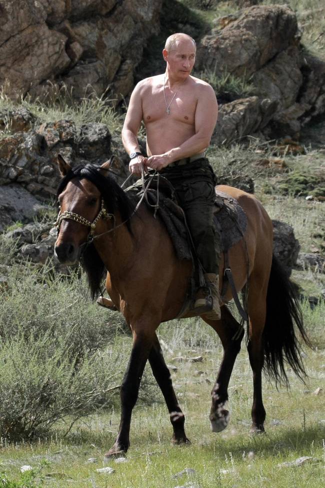 putin-cavalo O presidente da Rússia, Vladimir Putin, é fotografado andando a cavalo. -