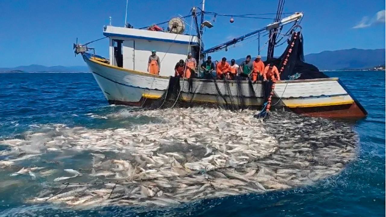 NO RADAR - Exploração em águas da Região Sul: uso ilegal de apetrechos é o maior problema