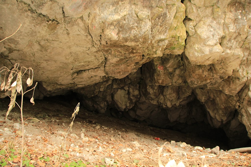 Caverna na região da garganta do rio Vârghi, nos Cárpatos Orientais, Romênia. A missão romeno-brasileira vai prospectar e escavar os sítios desse tipo, onde possa ter ocorrido a interação entre o Homo sapiens e o Homo neanderthalensis
