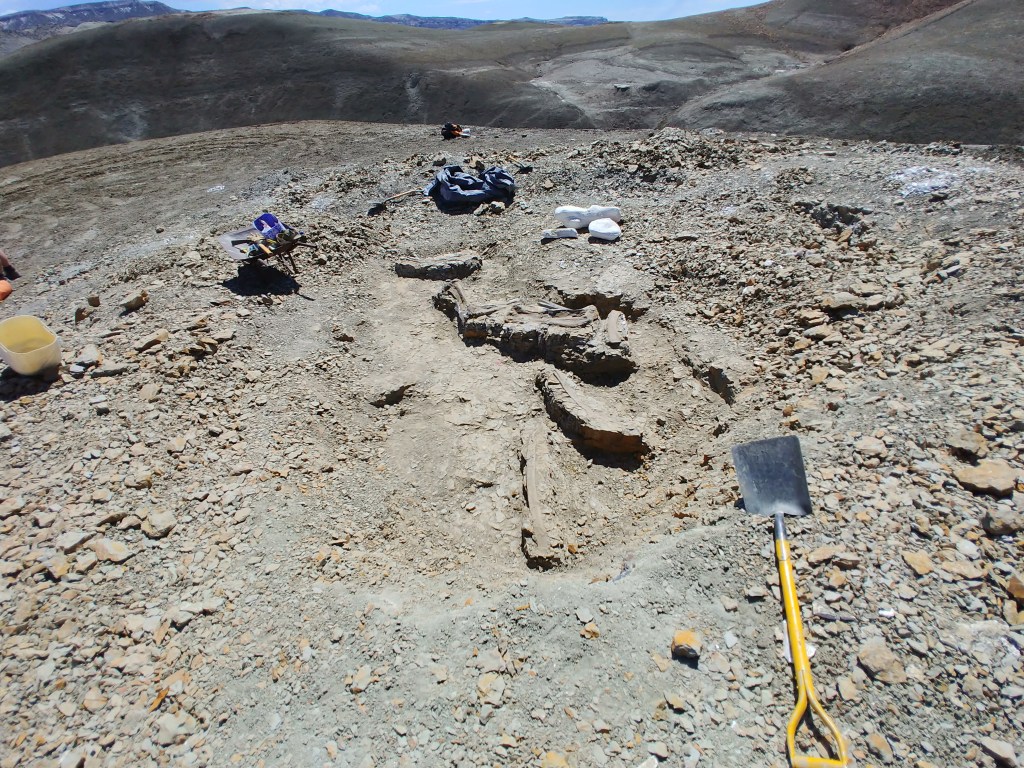 ESCAVAÇÃO - Patagônia: missão estuda a vida no fim do cretáceo