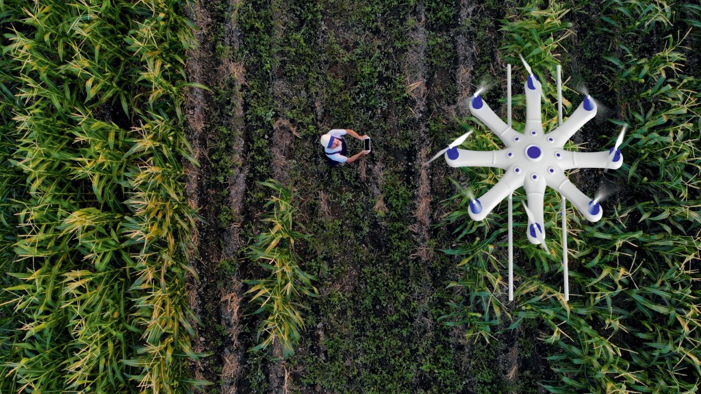 VISÃO DO ALTO - Drones: aparelhos voadores são usados para mapear plantações