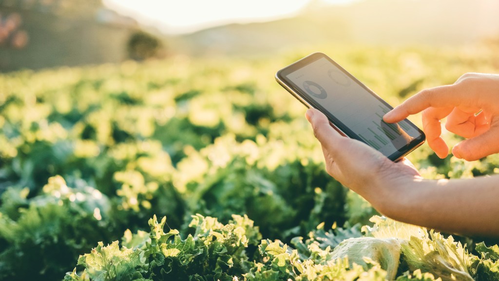 NA PALMA DA MÃO - Tablet na lavoura: equipamentos modernos impulsionam a produtividade