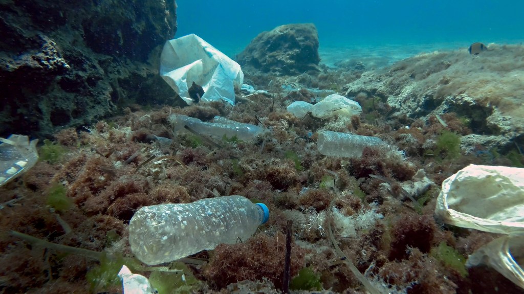 LIXO - Garrafas e sacos “nadam” no Mediterrâneo: estrago silencioso