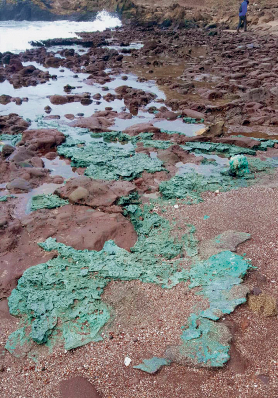 DANO - Ilha da Trindade: rochas de cor verde estranha