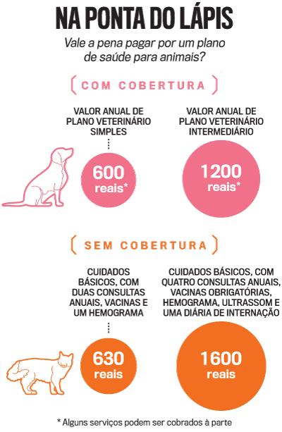 Por que os planos de saúde veterinários viraram uma boa alternativa | VEJA