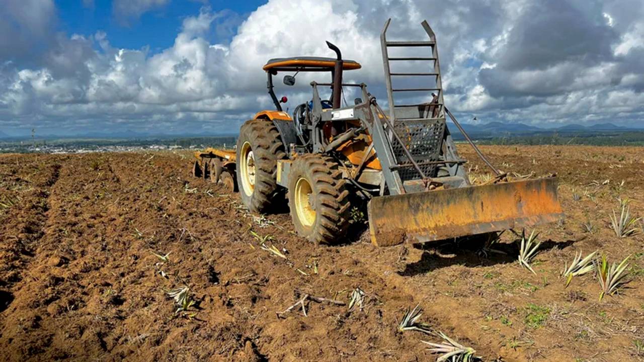 POR CONTA PRÓPRIA - Trator arranca plantio feito por invasores em Itabela (BA): reação de proprietários rurais