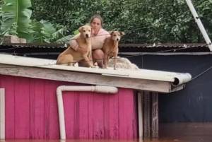 Mulher identificada apenas como Sandra aguarda para ser resgatada com seus bichos