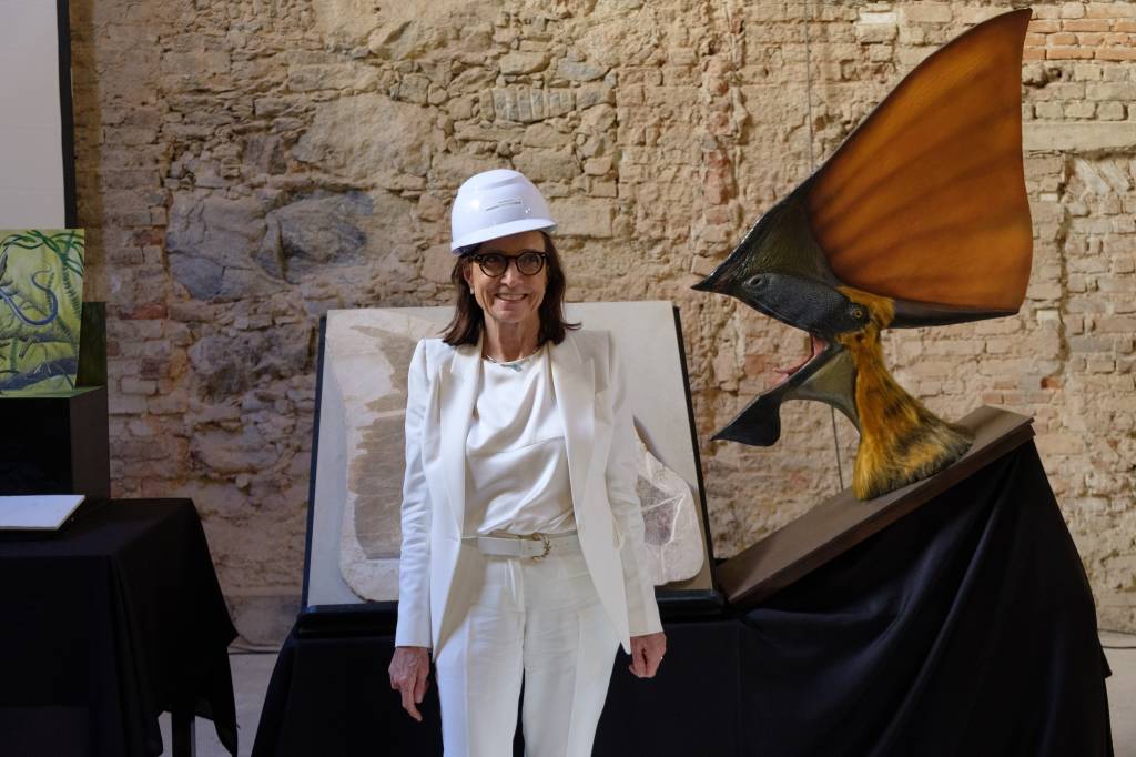 Reconstrução do Museu Nacional é responsabilidade coletiva, diz apoiadora