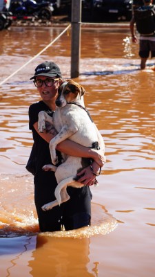 Um morador carrega um cachorro nas enchentes após fortes chuvas em Porto Alegre, Rio Grande do Sul, Brasil, na segunda-feira, 6 de maio de 2024