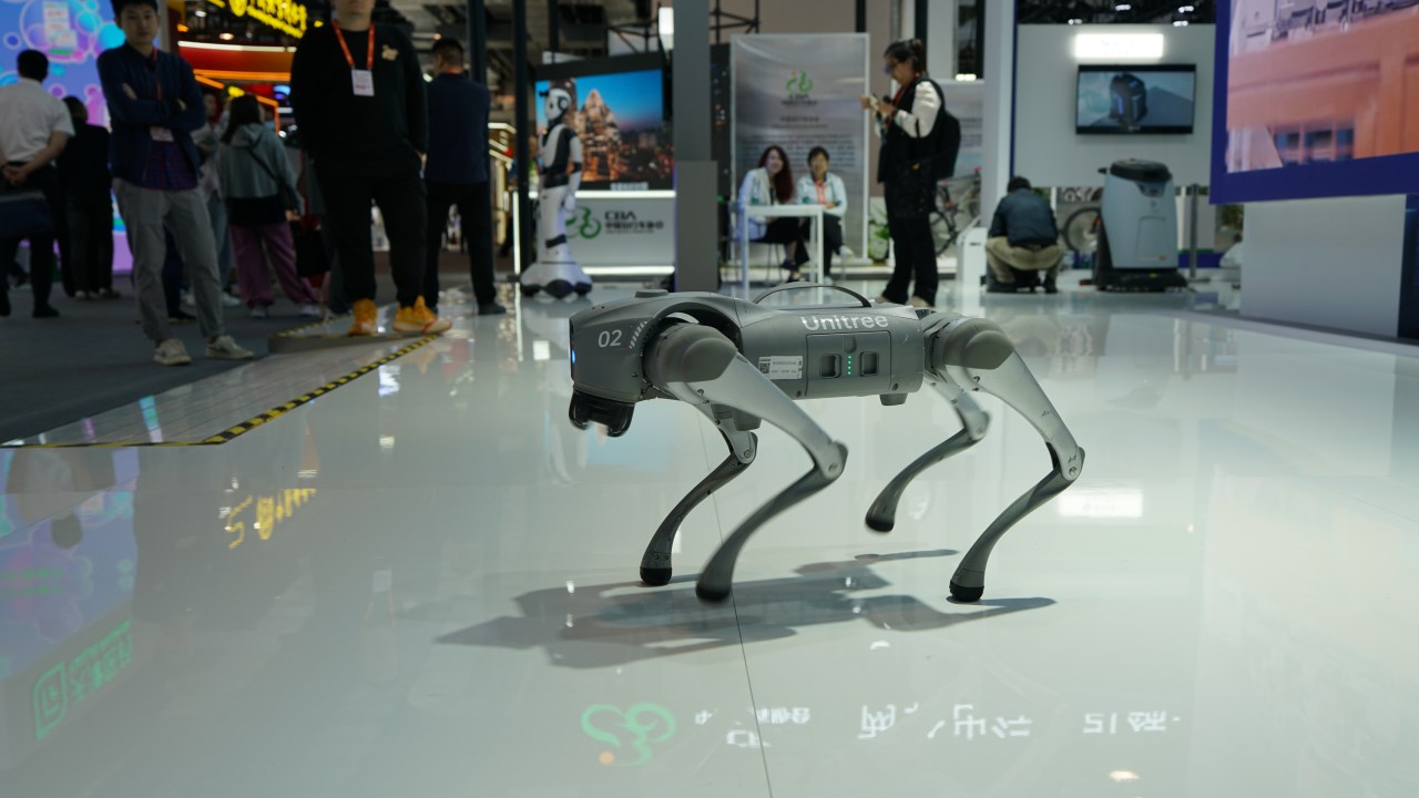 O cão-robô da China. 11/05/2024