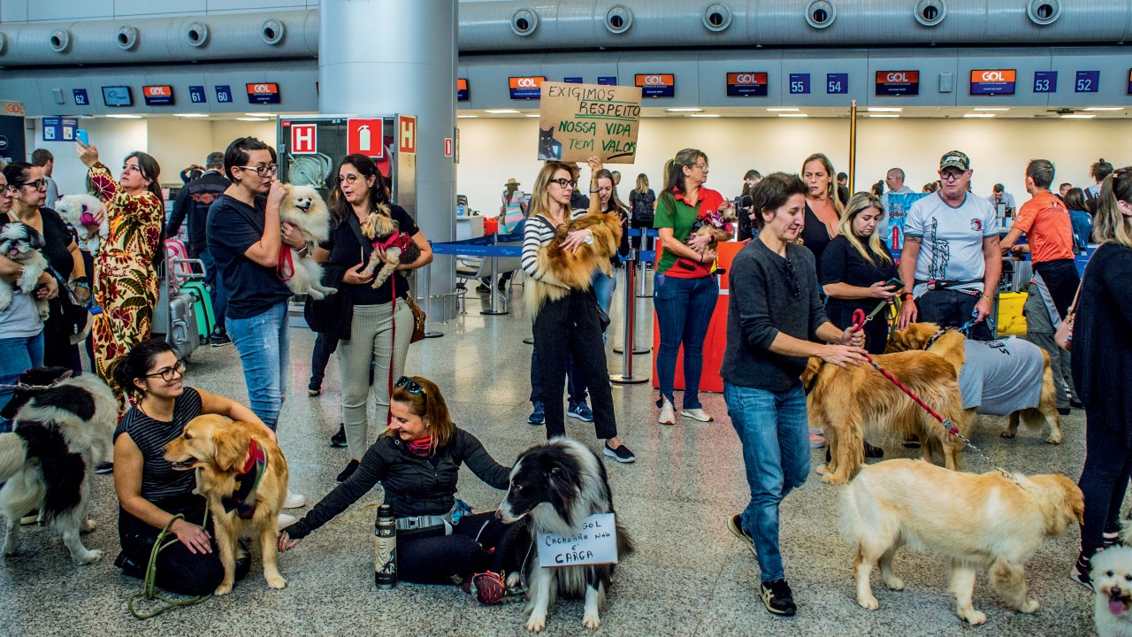 REVOLTA - Protesto no aeroporto do Galeão, no Rio de Janeiro: por justiça e regras rígidas para trato dos bichos