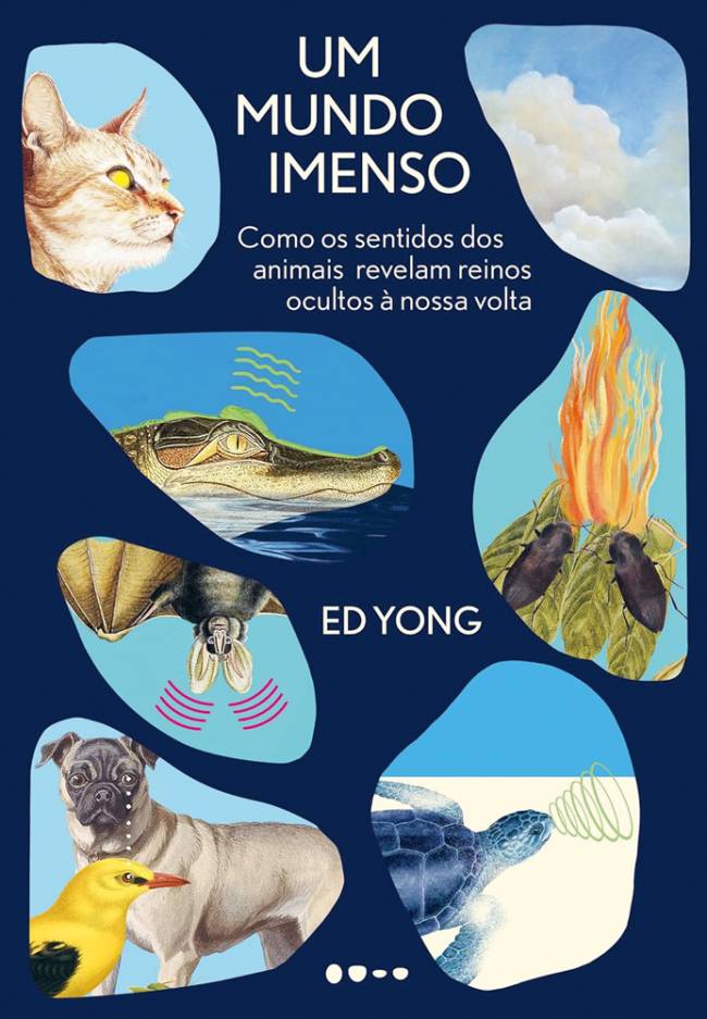 Um Mundo Imenso, de Ed Yong (tradução de Christian Schwartz; Todavia; 544 páginas; 129,90 reais e 76,90 reais em e-book)