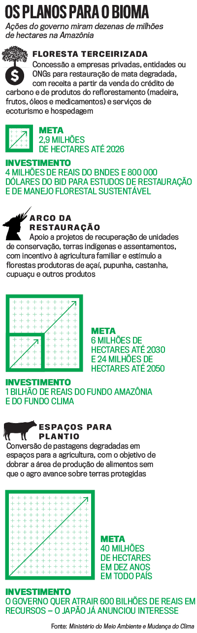 arte amaz&ocirc;nia