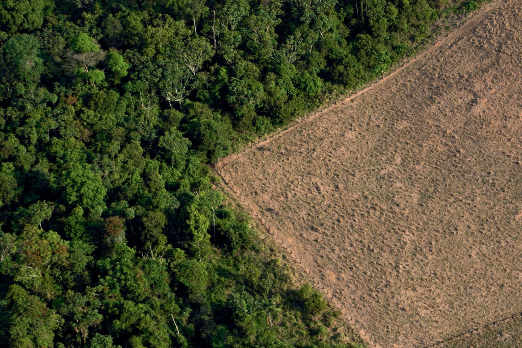 ORIGEM - Floresta Amazônica: desmatamento reduz rios voadores e contribui para a falta de chuvas no Pantanal