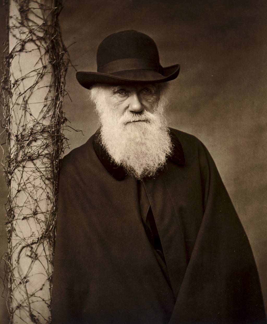 Charles Darwin at his home at Down House, Kent, c1880. PIONEIRO - Darwin: para ele, as melodias estimulavam a atração sexual
