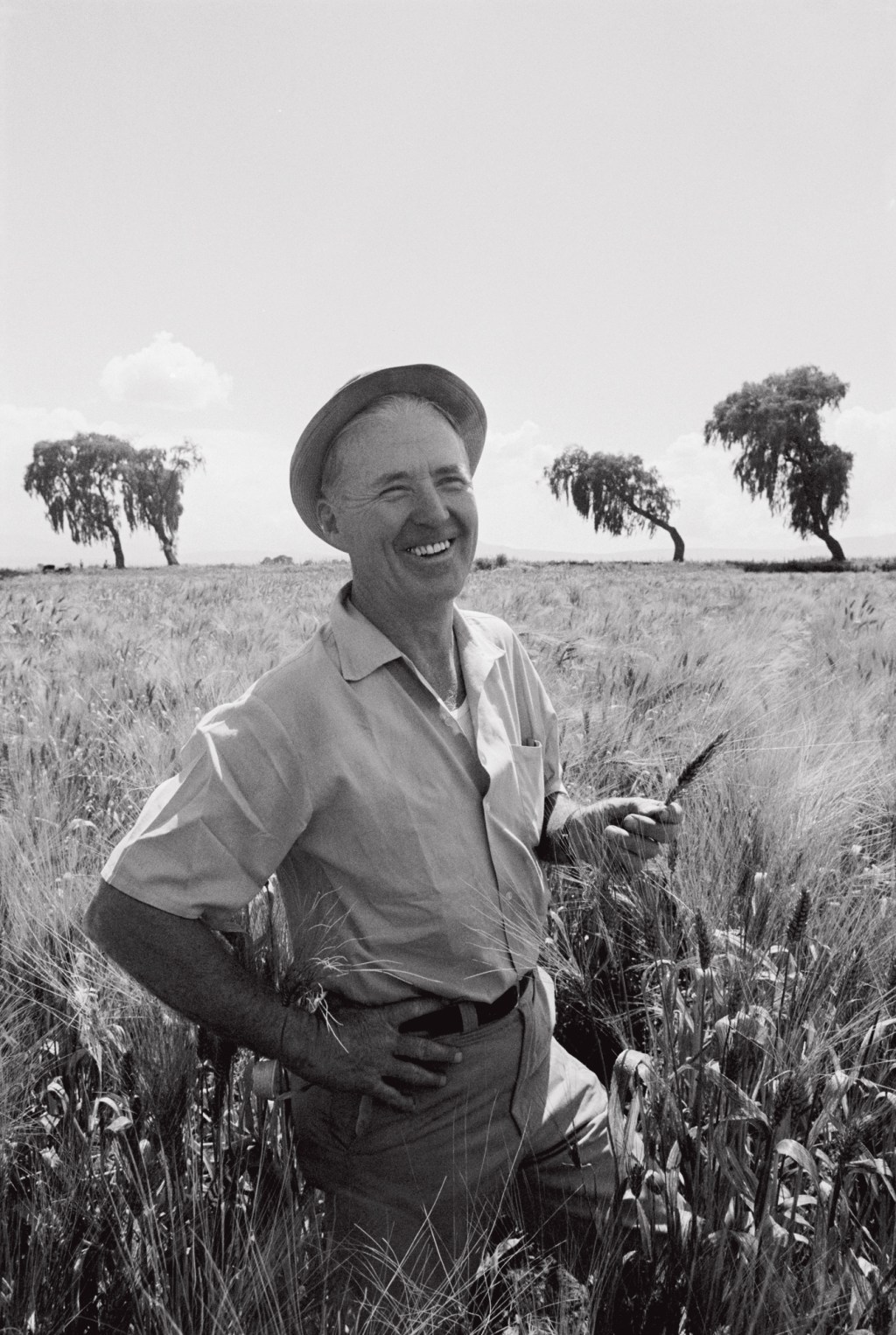 NOBEL DA PAZ - Norman Borlaug: agrônomo mudou o trigo para combater a fome