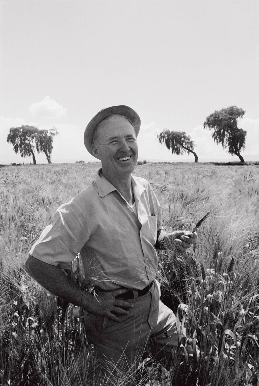 Norman Borlaug NOBEL DA PAZ - Norman Borlaug: agrônomo mudou o trigo para combater a fome