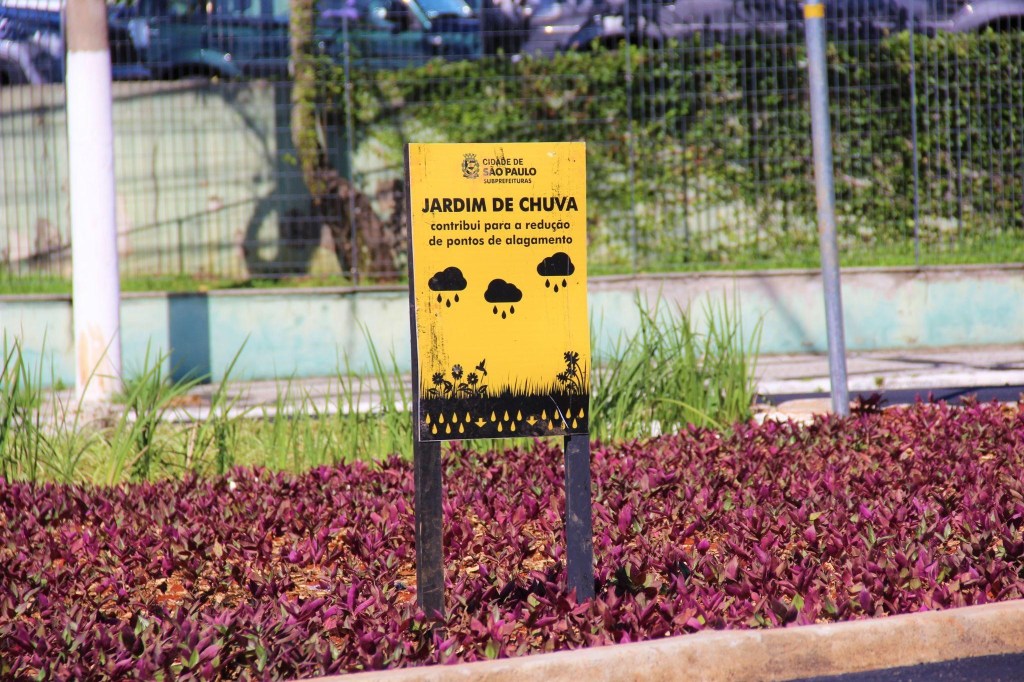 Jardins de chuva: melhoram o escoamento das águas e diminuem o calor em São Paulo