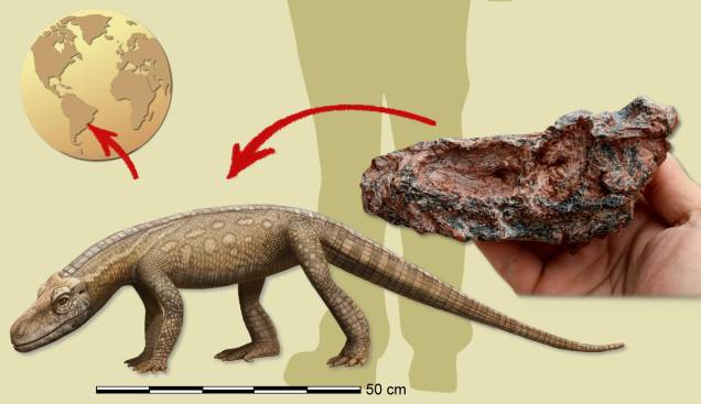 RECONSTRUÇÃO ARTÍSTICA - P. aurelioi: pequeno crocodilo RECONSTRUÇÃO ARTÍSTICA - P. aurelioi: pequeno crocodilo