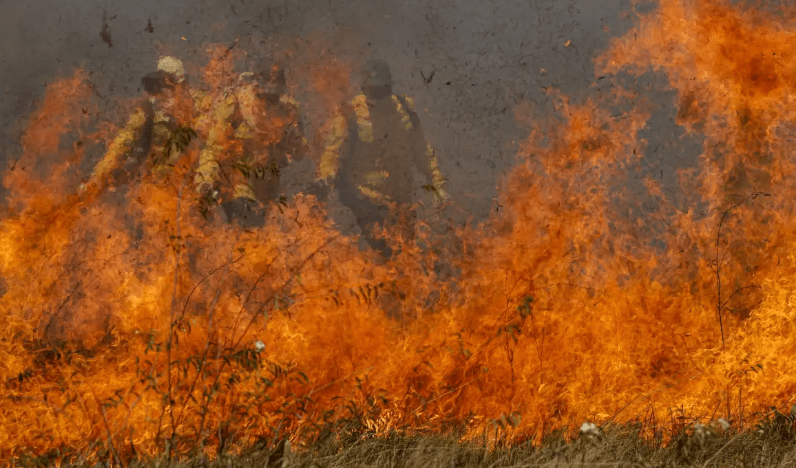 Brigadistas combatem incêndios no Pantanal