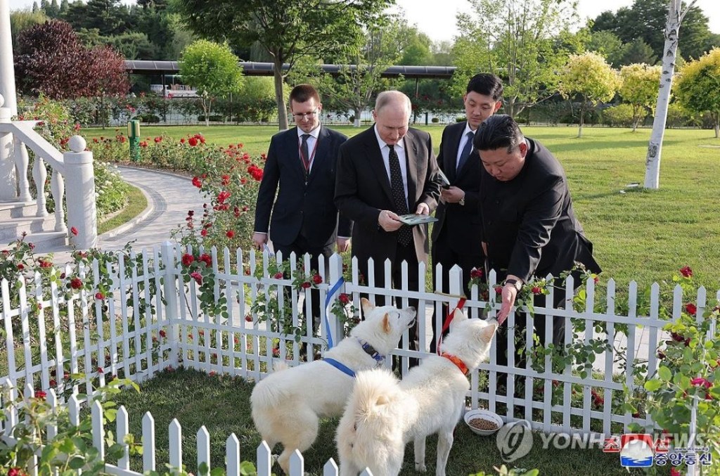 O presidente da Rússia, Vladimir Putin (à esq.), e o ditador da Coreia do Norte, Kim Jong-un (à dir.), com os cachorros. 20/06/2024