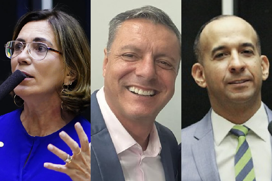 A deputada federal Rosana Valle (PL-SP); o prefeito de Santos, Rogério Santos (Republicanos); e o deputado federal Paulo Alexandre Barbosa (PSDB-SP)