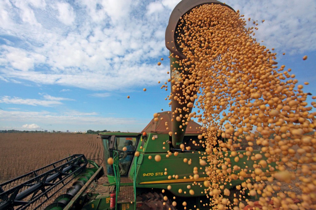 MENOS TROCAS - Colheita de soja no Brasil: arrocho argentino reduz compras do grão e de outros produtos