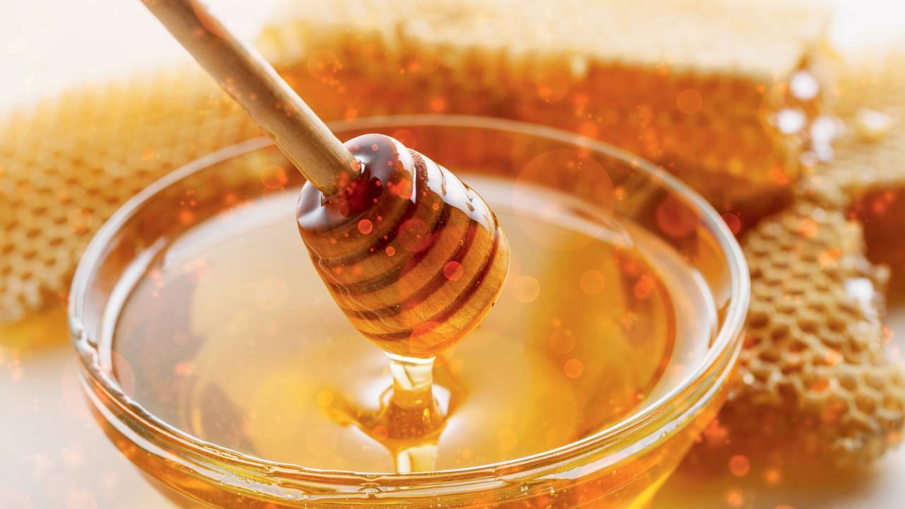 DOSE ÚNICA - Alimento que vem da natureza: o ambiente influencia as características do mel
