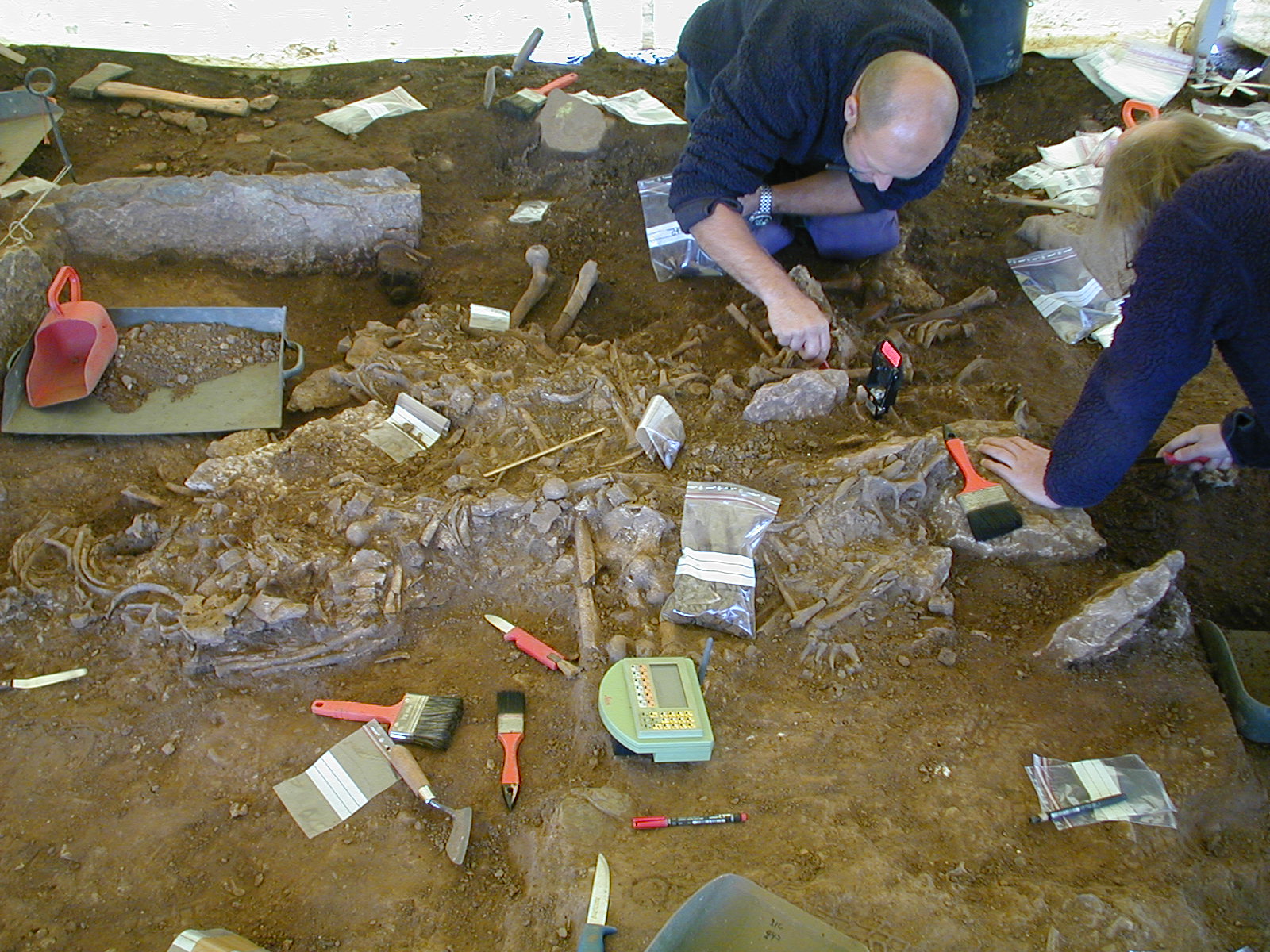 Escavação da sepultura da passagem de Frälsegården em 2001. Os ossos foram rotulados e medidos individualmente com uma estação total