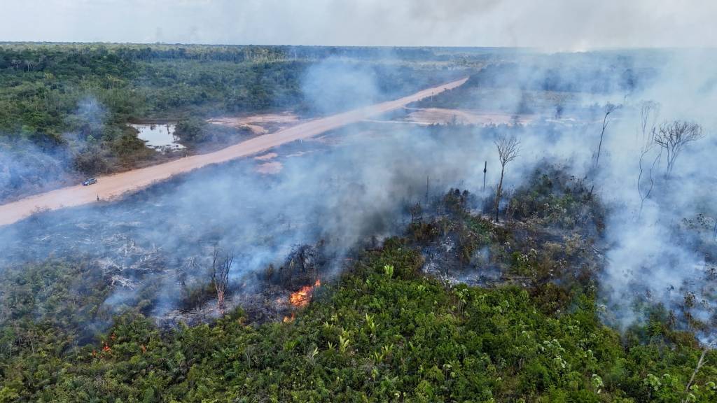 Flexibilização de licenciamento ambiental é a legalização da boiada