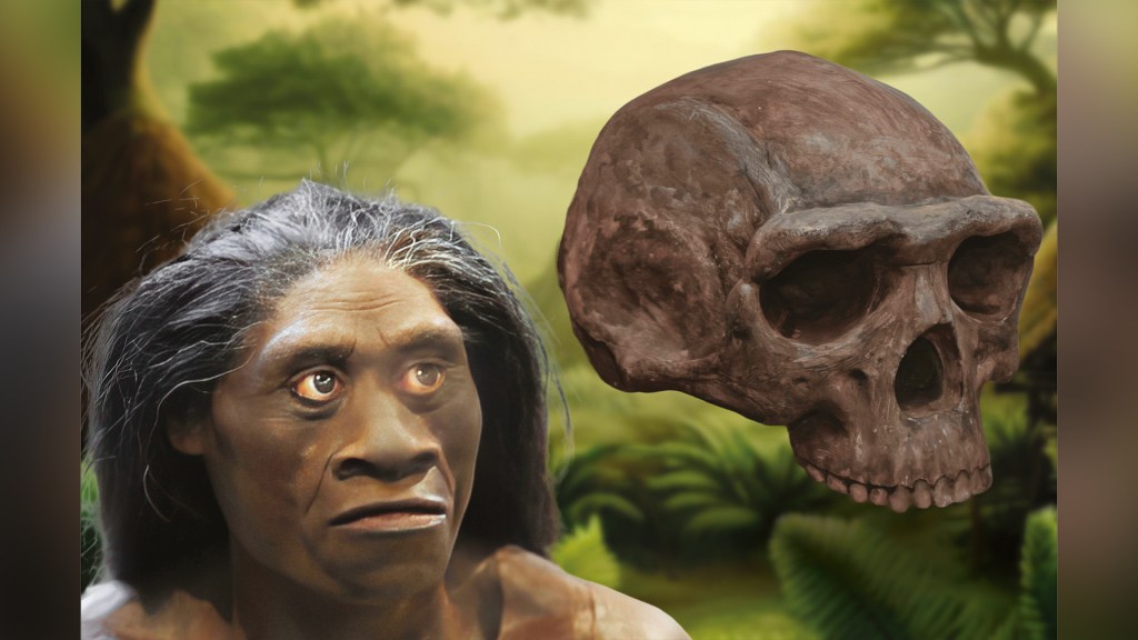 TAMANHO NÃO É DOCUMENTO - Representação do 'Homo floresiensis': seres hábeis e dotados de inteligência