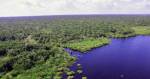amazônia-biodiversidade-amazonas-fnrb-fundo-nacional-repartição-benefícios-meio-ambiente-esg