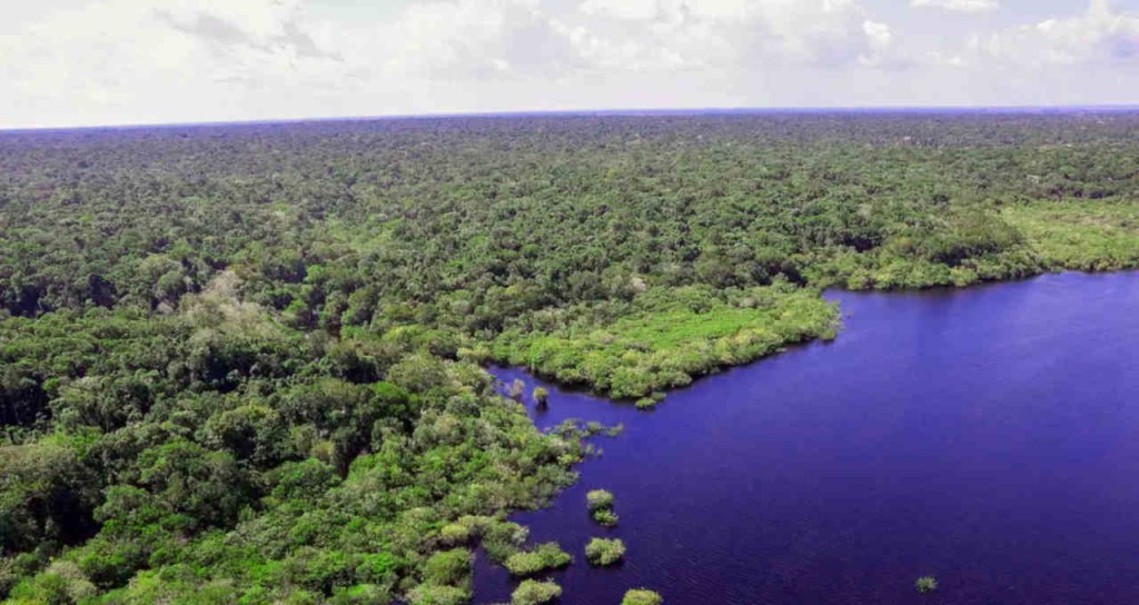 Amazônia Amazona biodiversidade fundo nacional repartição benefícios fnrb meio ambiente esg