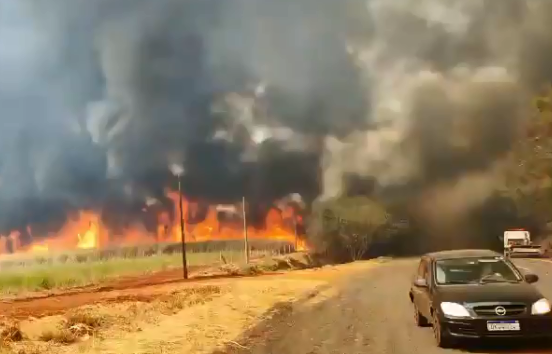 Queimadas atingem diversas regiões de São Paulo em meio a tempo seco e altas temperaturas