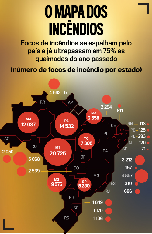 mapa queimadas