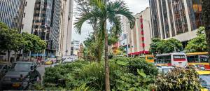 Corredor verde implantado em pleno centro de Medellín: jardinagem fica sob responsabilidade de profissionais do meio ambiente