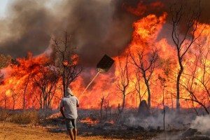 Bombeiros e populares tentam conter as chamas