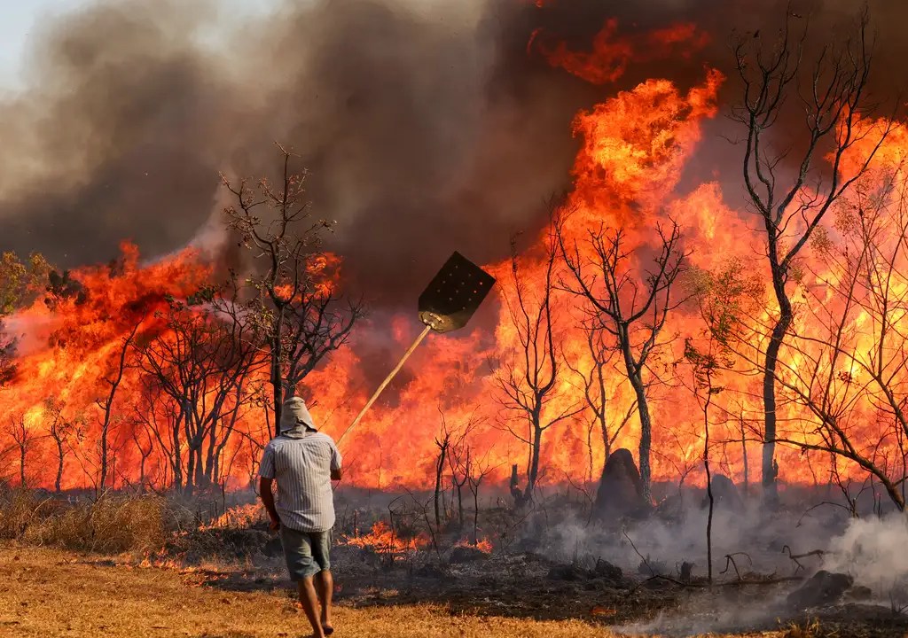 Bombeiros e populares tentam conter as chamas