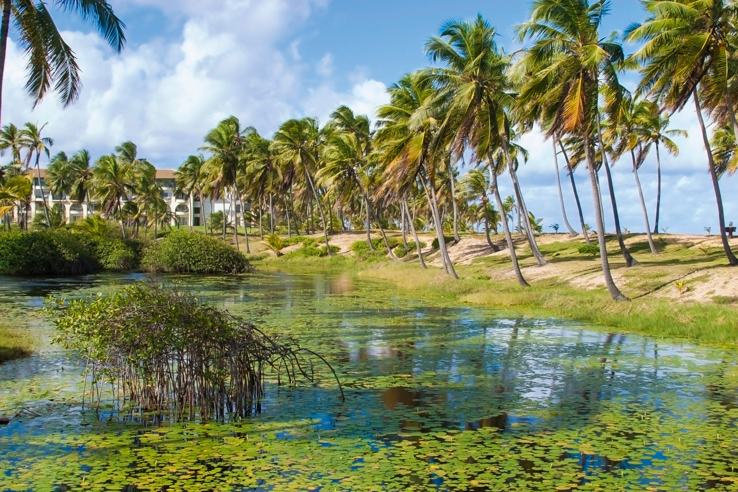 PARAÍSO - Costa do Sauípe, na Bahia: falta de conexões aéreas é um desafio