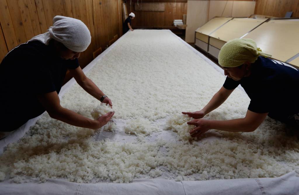 GettyImages-510773906.jpg PRODUÇÃO - A fabricação do fermentado de arroz: a água influencia o sabor