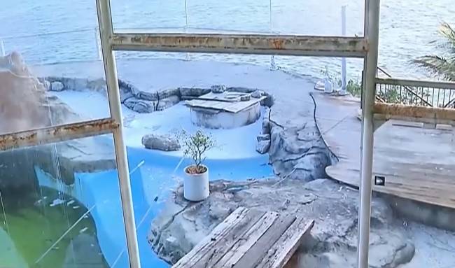 piscina Vistoria encontra foco de dengue em piscina da casa de Mário Gomes