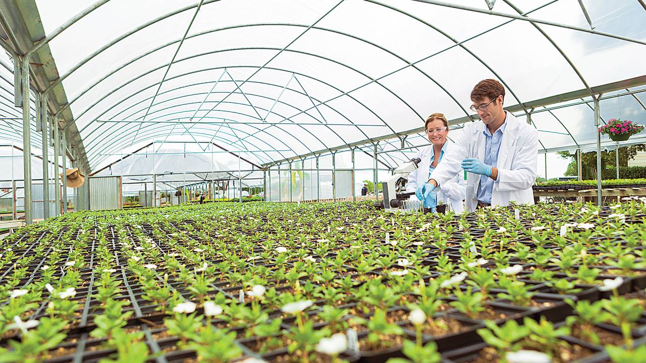 HORTA-LABORATÓRIO - Pesquisa: soluções sustentáveis em foco