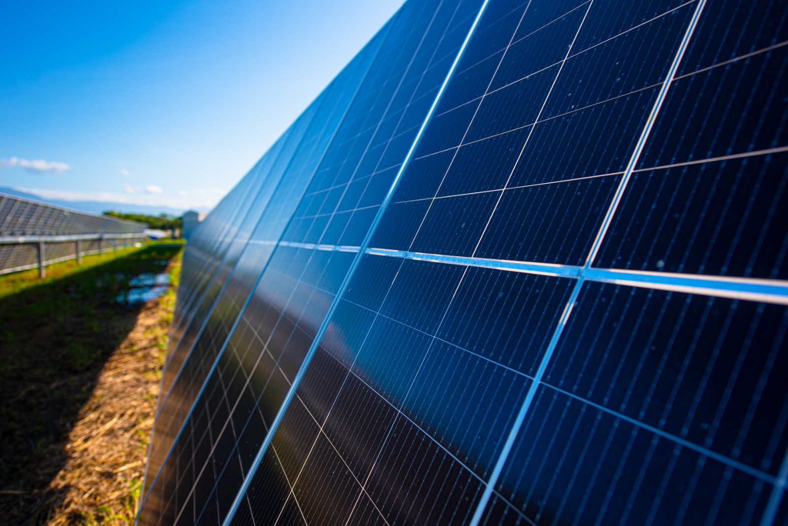 Usina solar_EDP