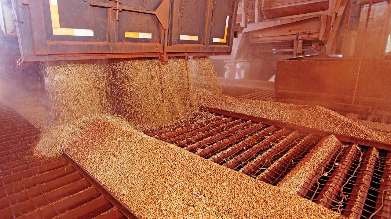 Grãos de soja: avanços tecnológicos têm sido cruciais para o crescimento da produção